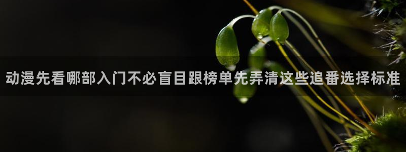 漫蛙云:动漫先看哪部入门不必盲目跟榜单先弄清这些追番选择标准配图