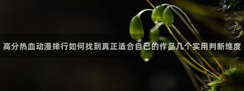 漫蛙是：高分热血动漫排行如何找到真正适合自己的作品几个实用判断维度配图