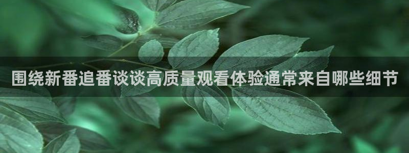 漫蛙中:围绕新番追番谈谈高质量观看体验通常来自哪些细节配图