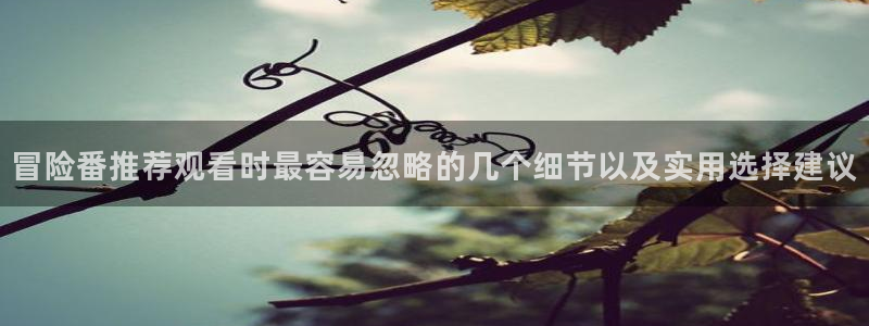 蛙X漫:冒险番推荐观看时最容易忽略的几个细节以及实用选择建议配图