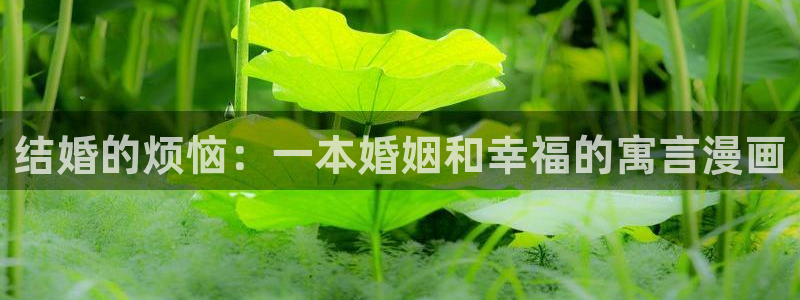 漫蛙图:结婚的烦恼:一本婚姻和幸福的寓言漫画配图
