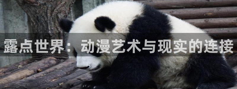 宝漫蛙:露点世界:动漫艺术与现实的连接配图