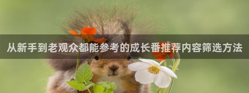 漫蛙下:从新手到老观众都能参考的成长番推荐内容筛选方法配图