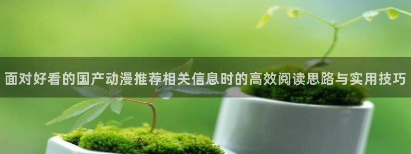 漫蛙解：面对好看的国产动漫推荐相关信息时的高效阅读思路与实用技巧配图