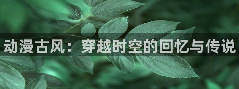 _蛙漫:动漫古风:穿越时空的回忆与传说配图