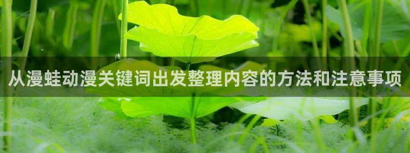 漫蛙台:从漫蛙动漫关键词出发整理内容的方法和注意事项配图